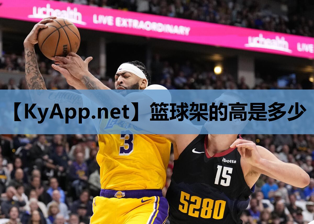 篮球架的高是多少 篮球架的高是多少
